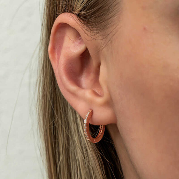 Gümüş Zirkon Taşlı Rose Oval Küpe - Görsel 4
